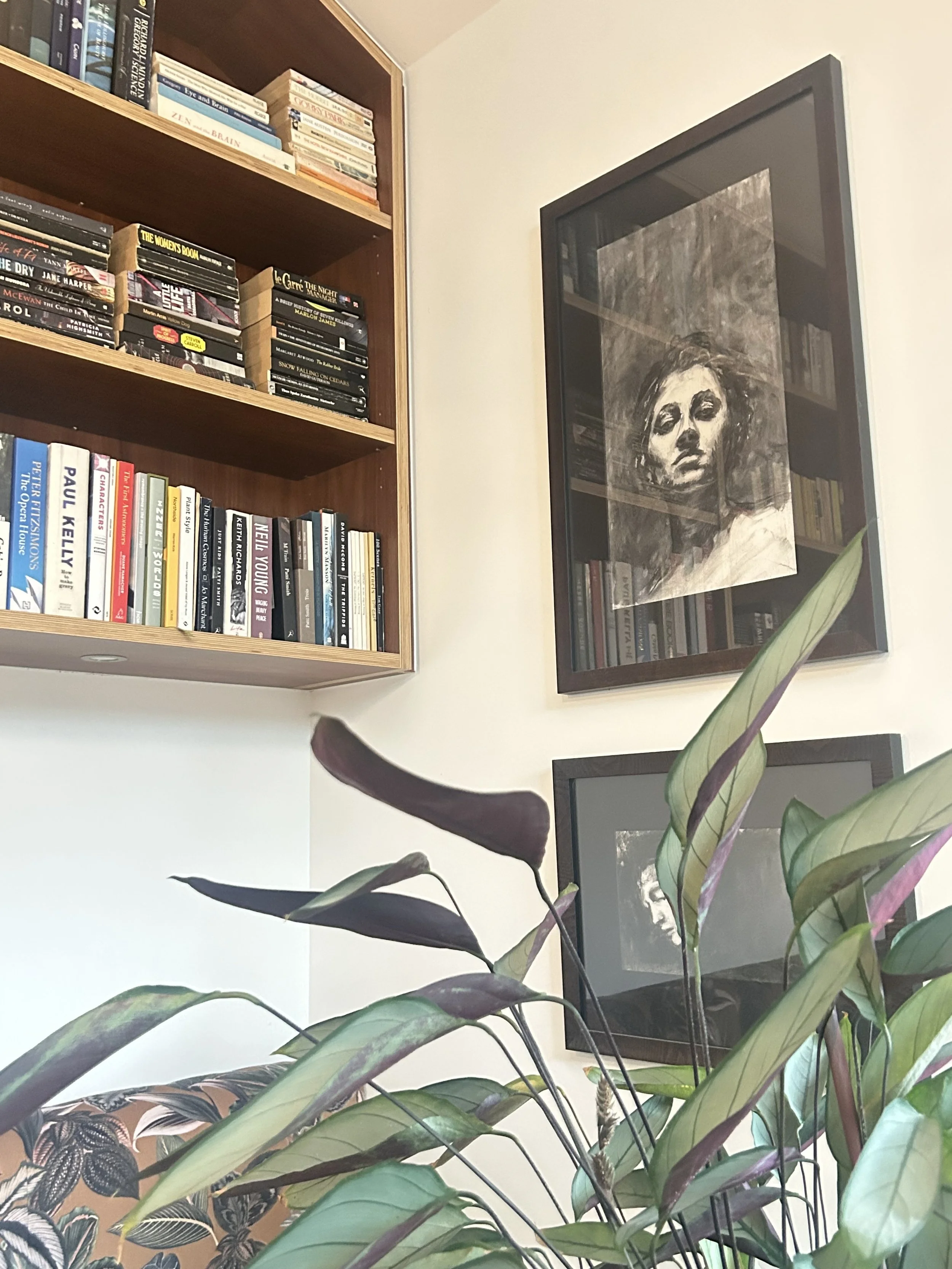 Part of an indoor living space showing bookshelves filled with books, a framed monochrome painting of a woman's face on the wall, and a potted plant with broad green leaves in the foreground.