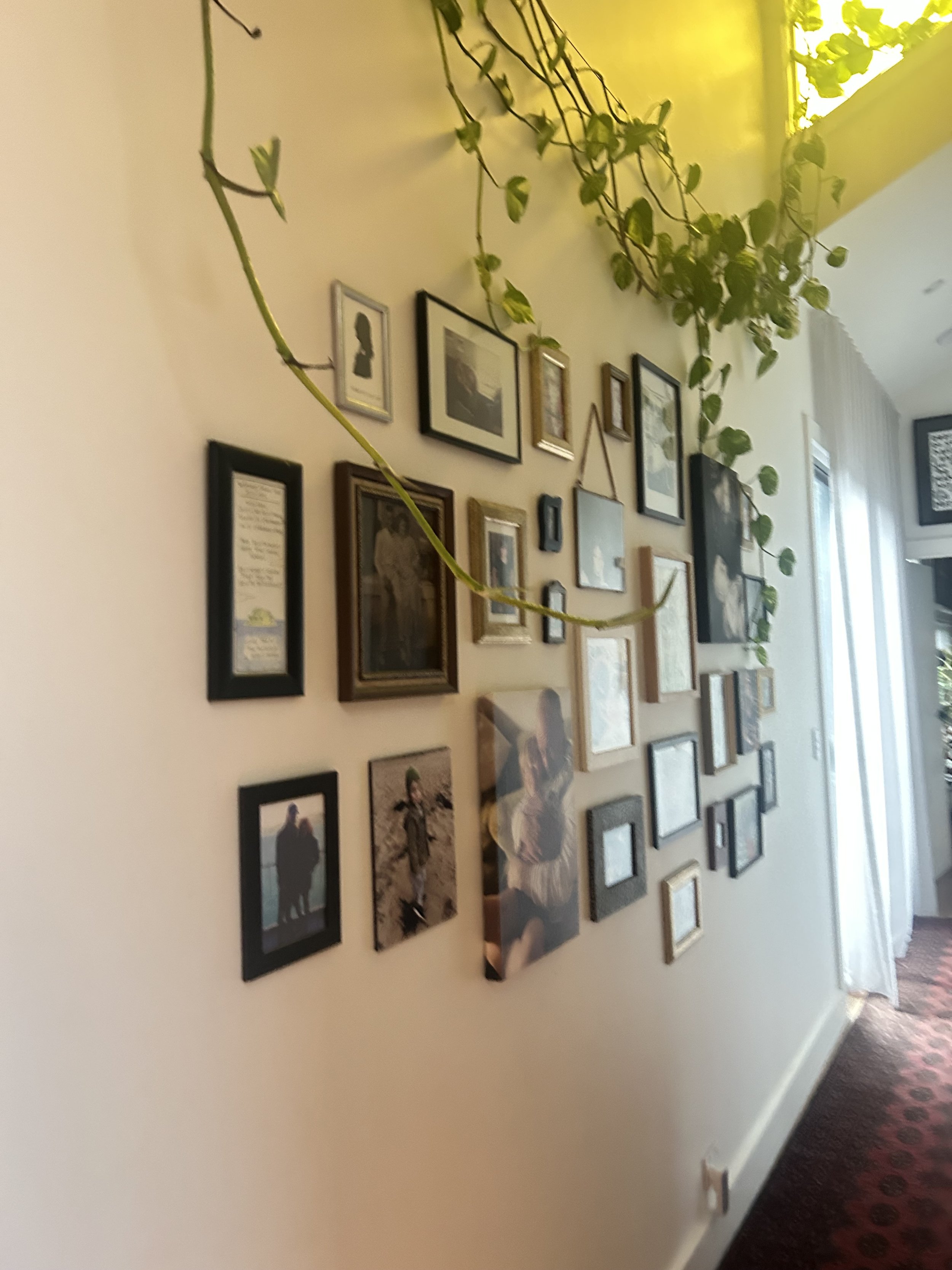 A wall decorated with numerous picture frames of various sizes, styles, and colors. Some frames contain photographs, while others feature artwork or writing. There is also a string of hanging greenery draped across the top of the display.