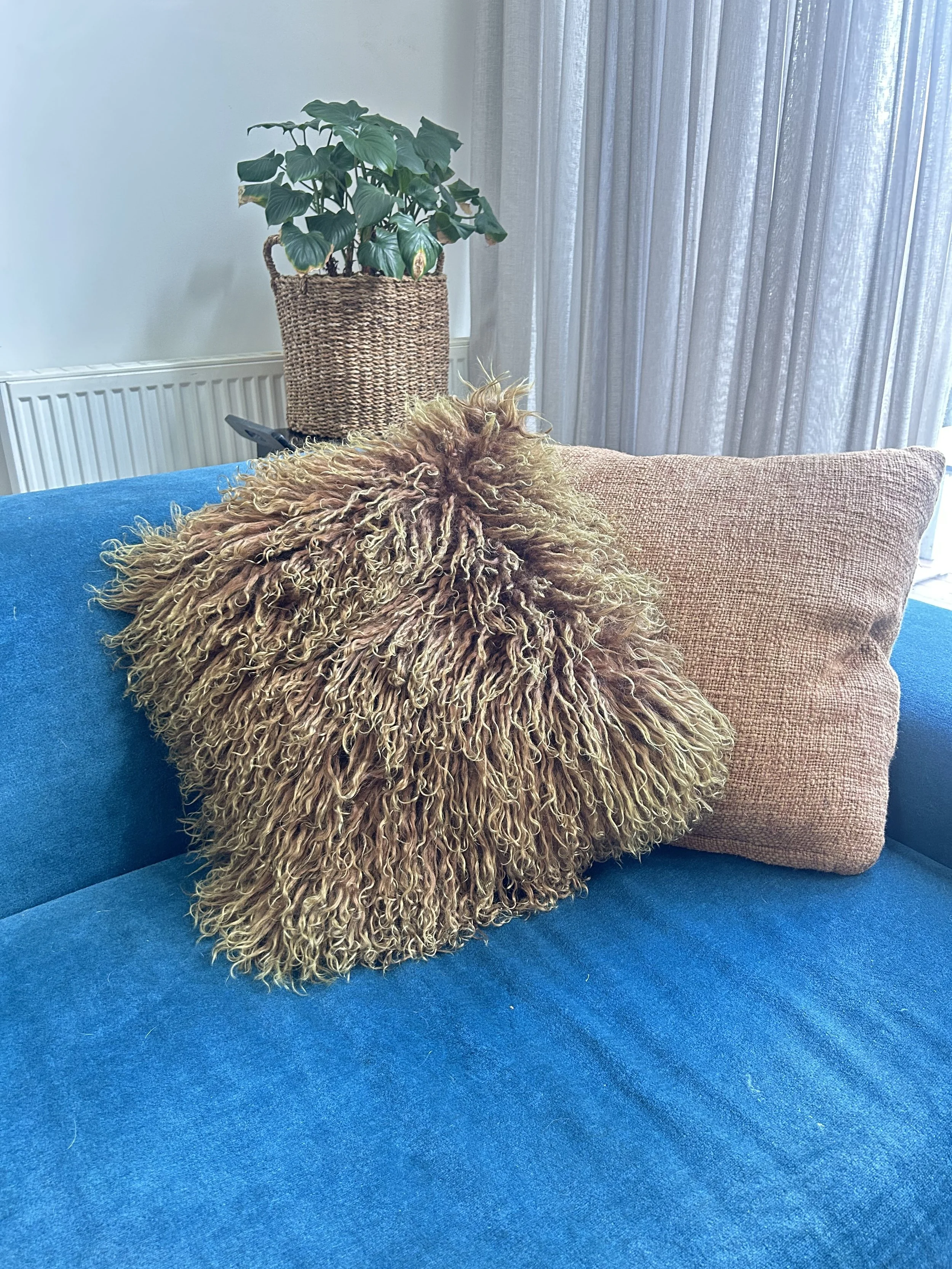A living room scene with a blue couch, a brown textured cushion, a brown, curly-haired cushion, a potted plant on a shelf behind the couch, and sheer curtains covering the window.