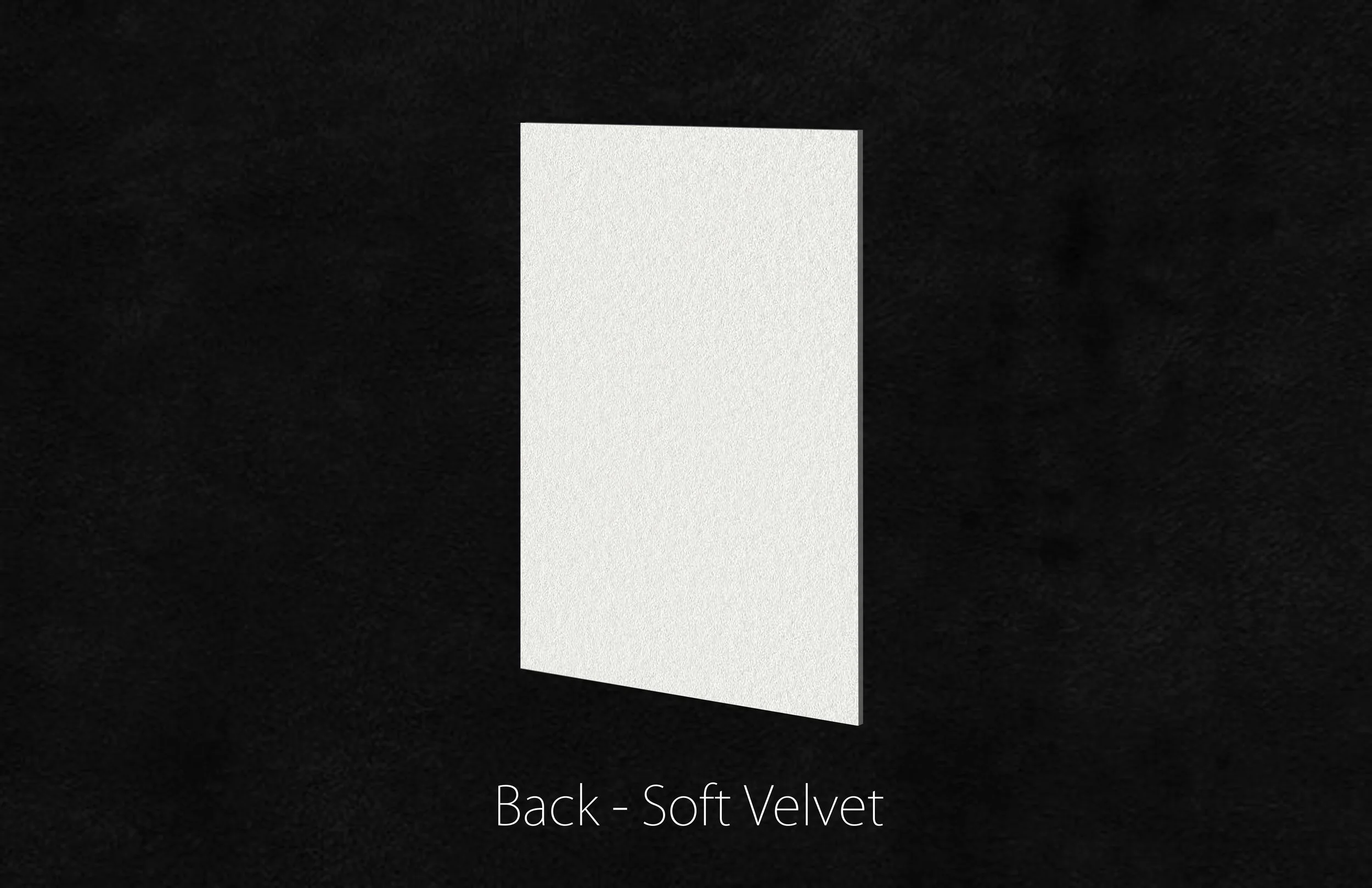 Main Photo Back WEB.jpg
