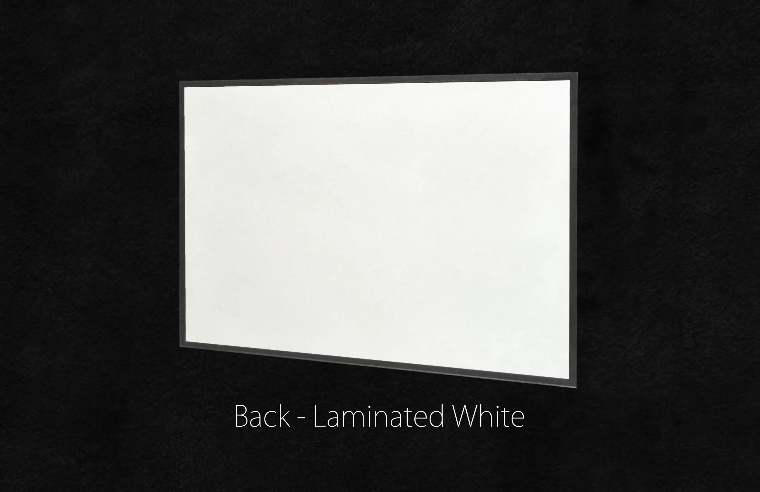 LAM BACK WEB.jpg