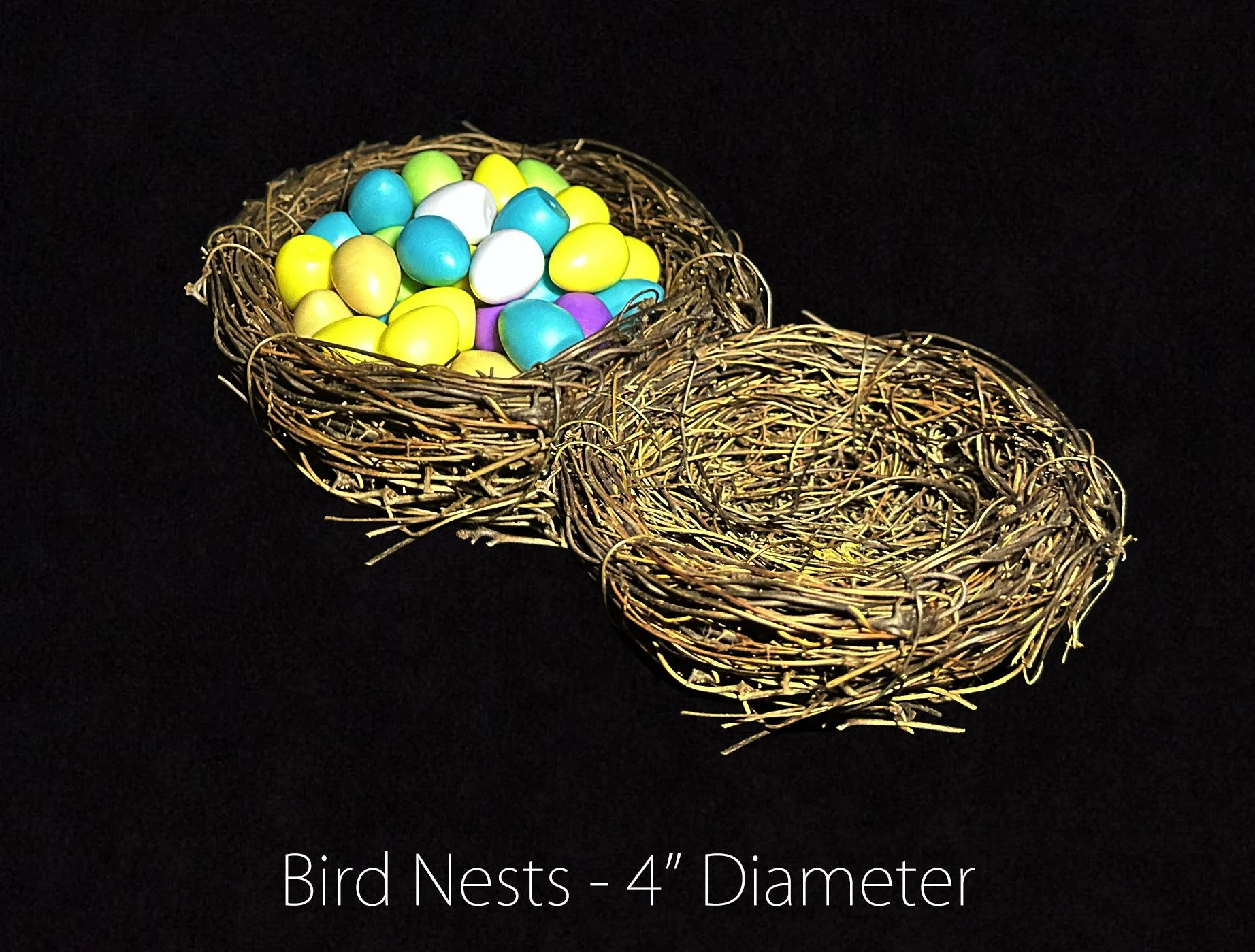 Bird Nest.jpg