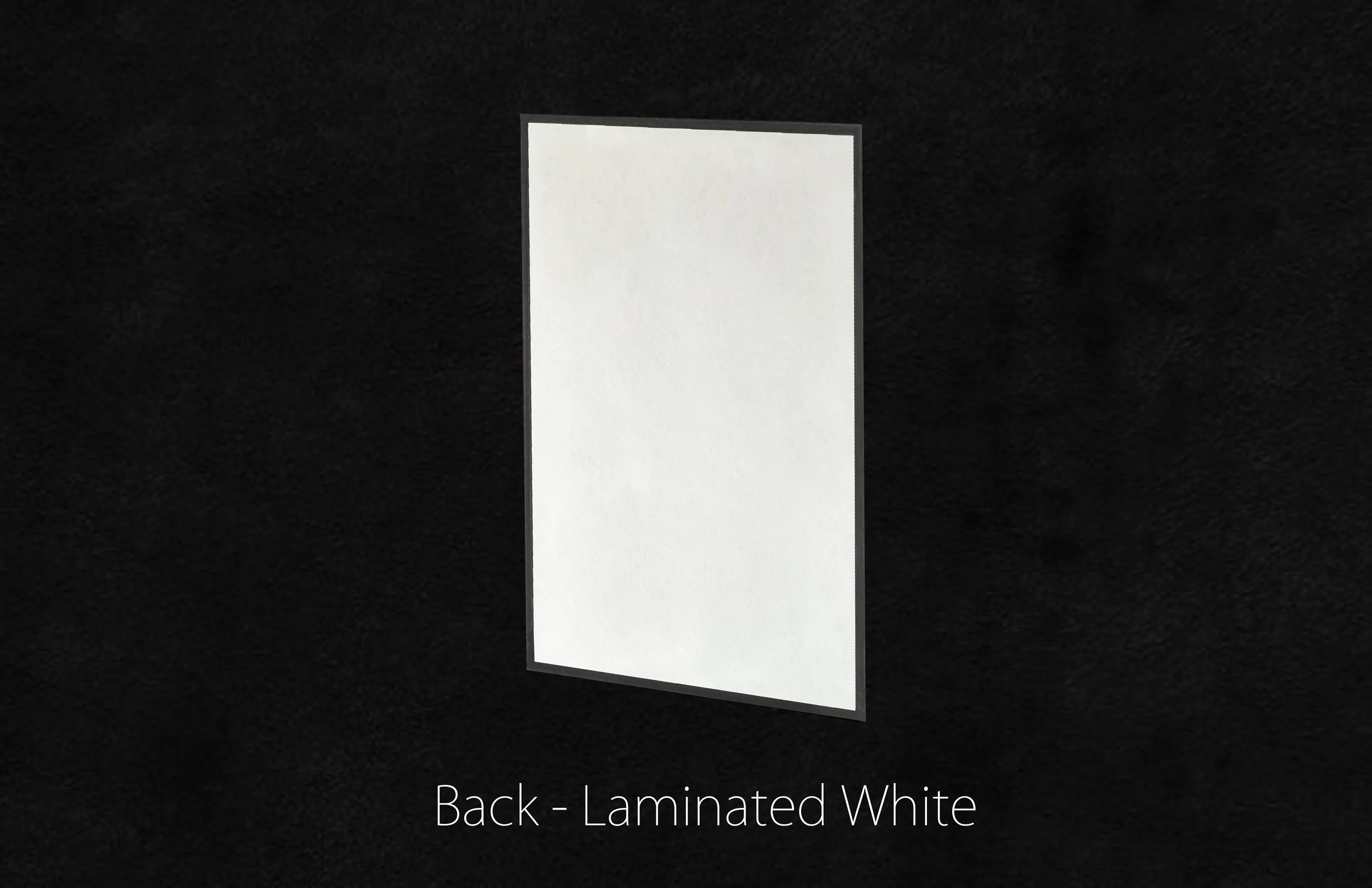 LAM BACK Verticle WEB.jpg