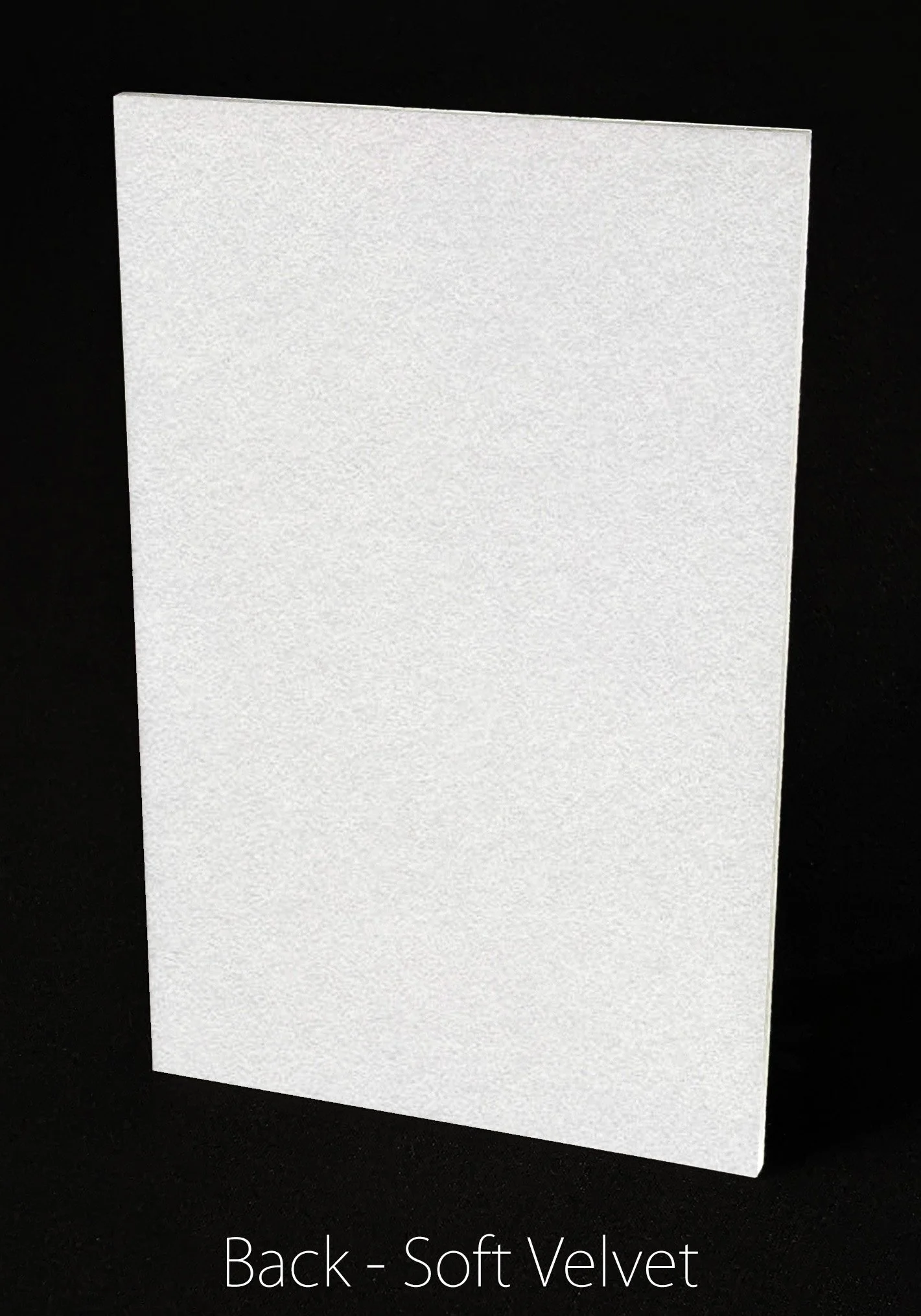 Main Photo Back - Verticle.jpg (Copy)