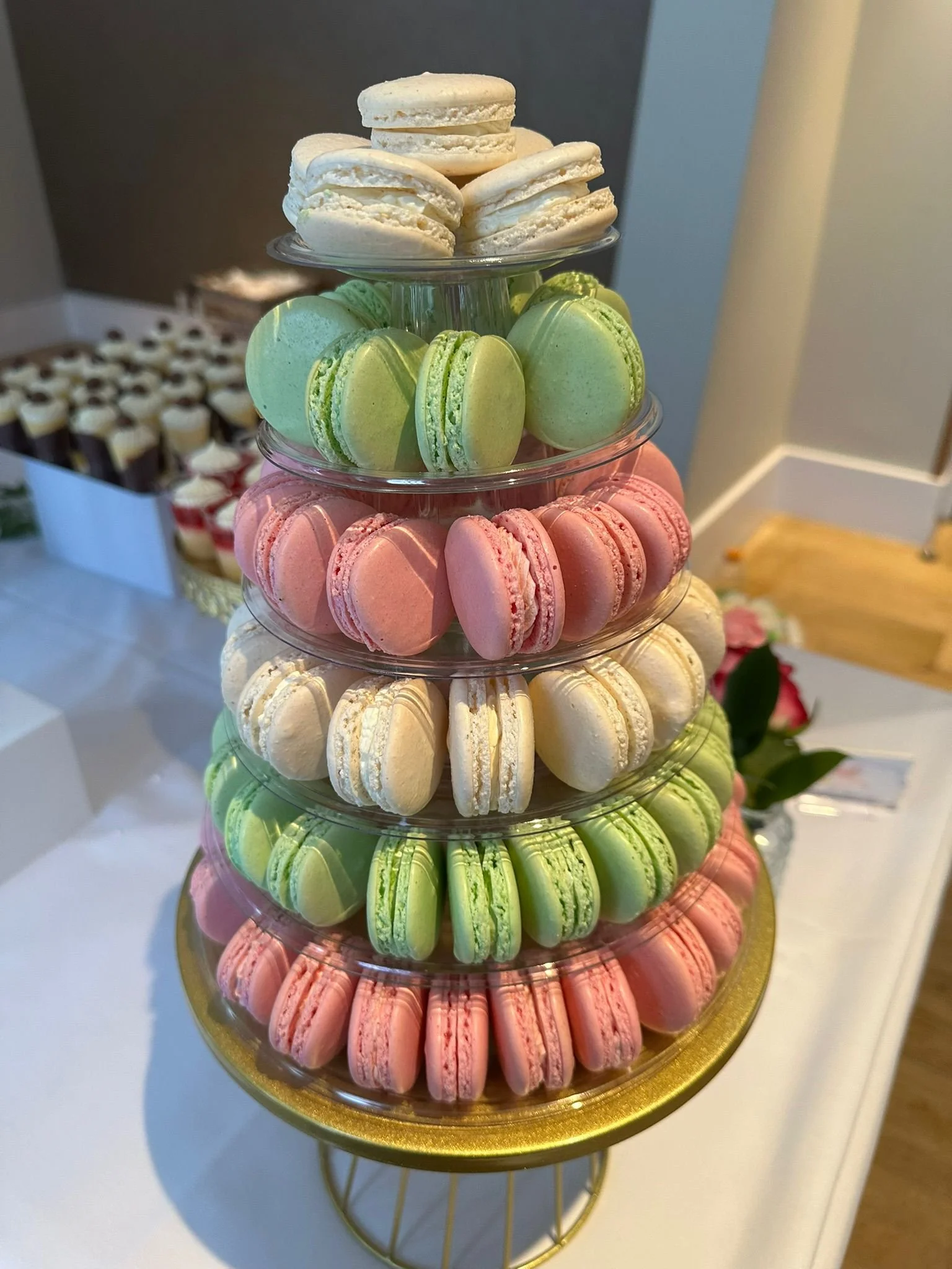 WhatsApp Image 2025-10-13 at 22.21.10.jpeg