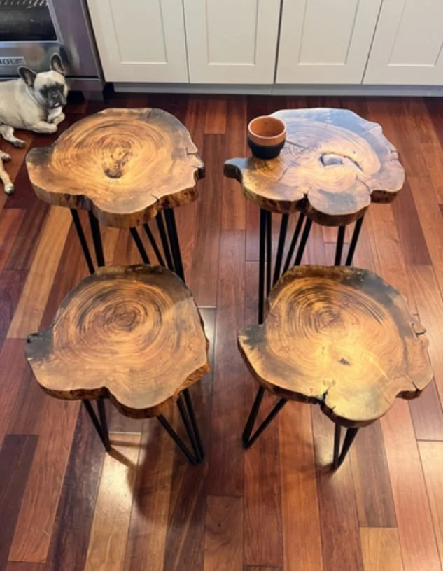 Robins-tables-in-our-kitchen-before-split--e1710046147422.jpeg
