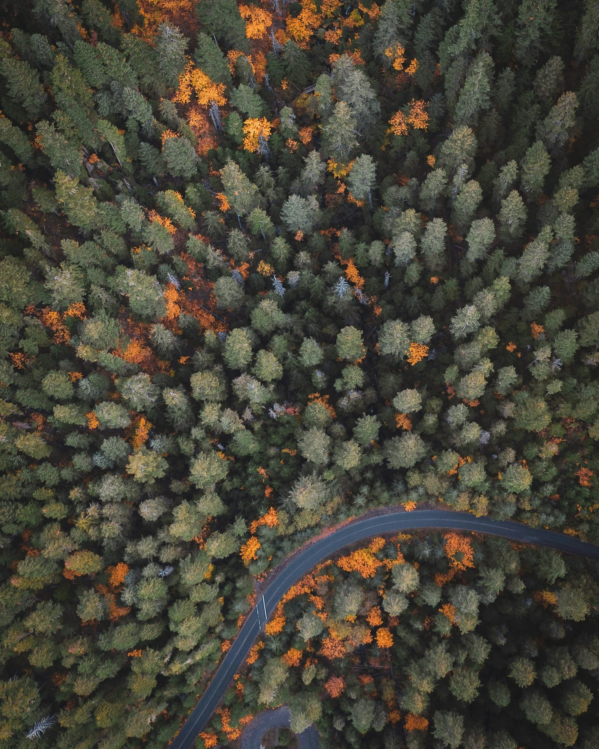 Burnout Beyond the Workplace: Adapting to Our Modern World&nbsp;