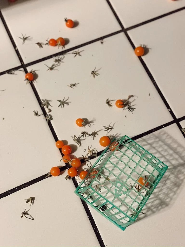 43D768BD-71ED-41B3-AEDF-35D878AEDD55_1_105_c.jpeg