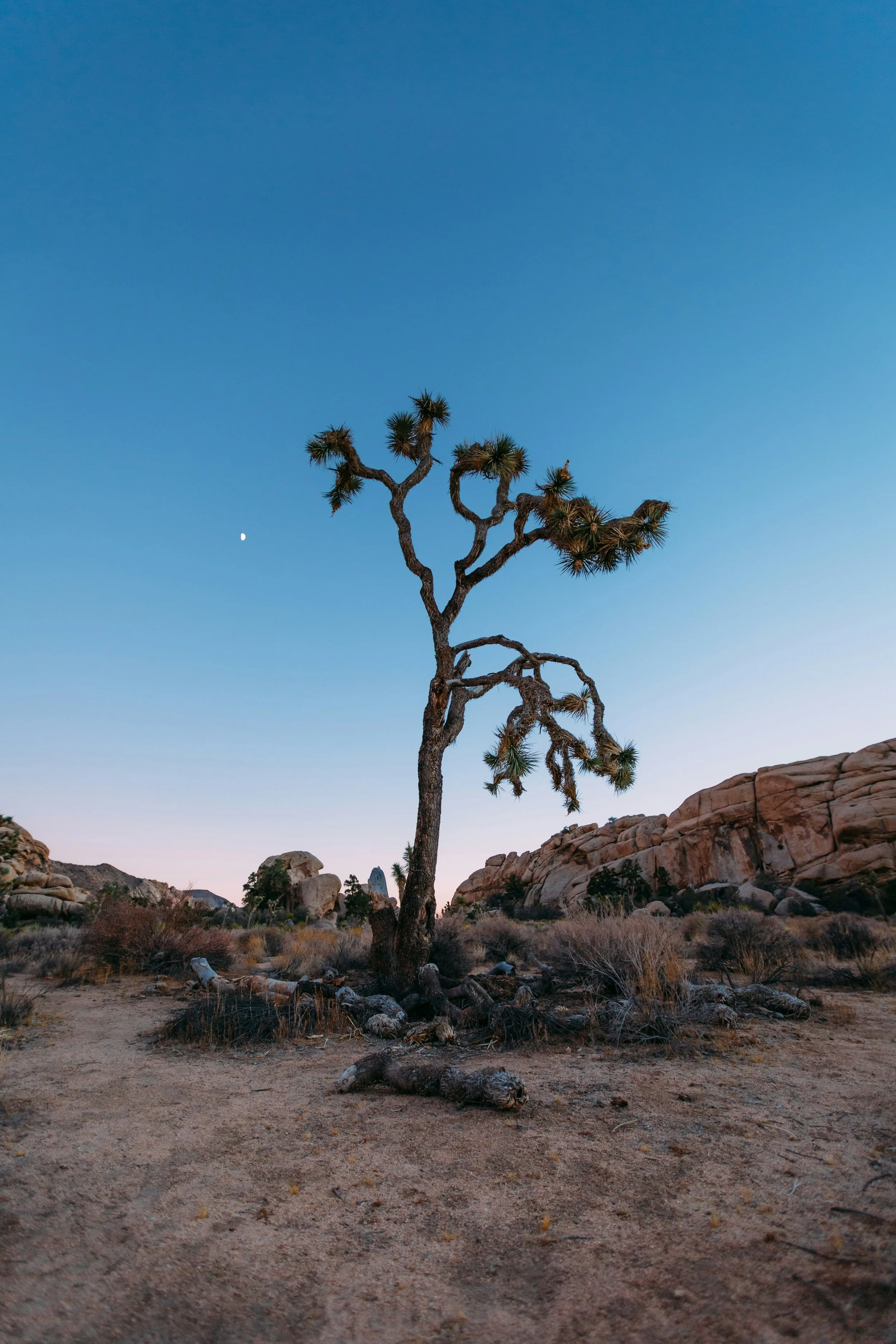 Live at Rock Rumble Royale.