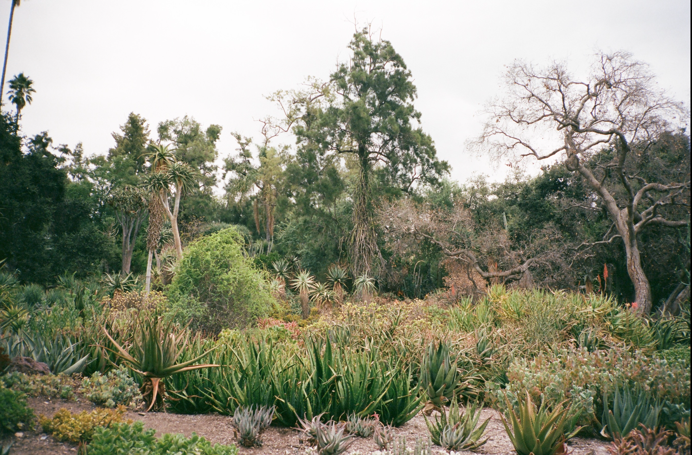 Screenshot 2025-10-24 at 9.12.43 PM.png