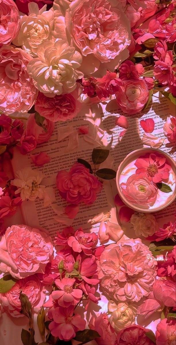 🌷 Flora _aesthetic 🌷.jpeg