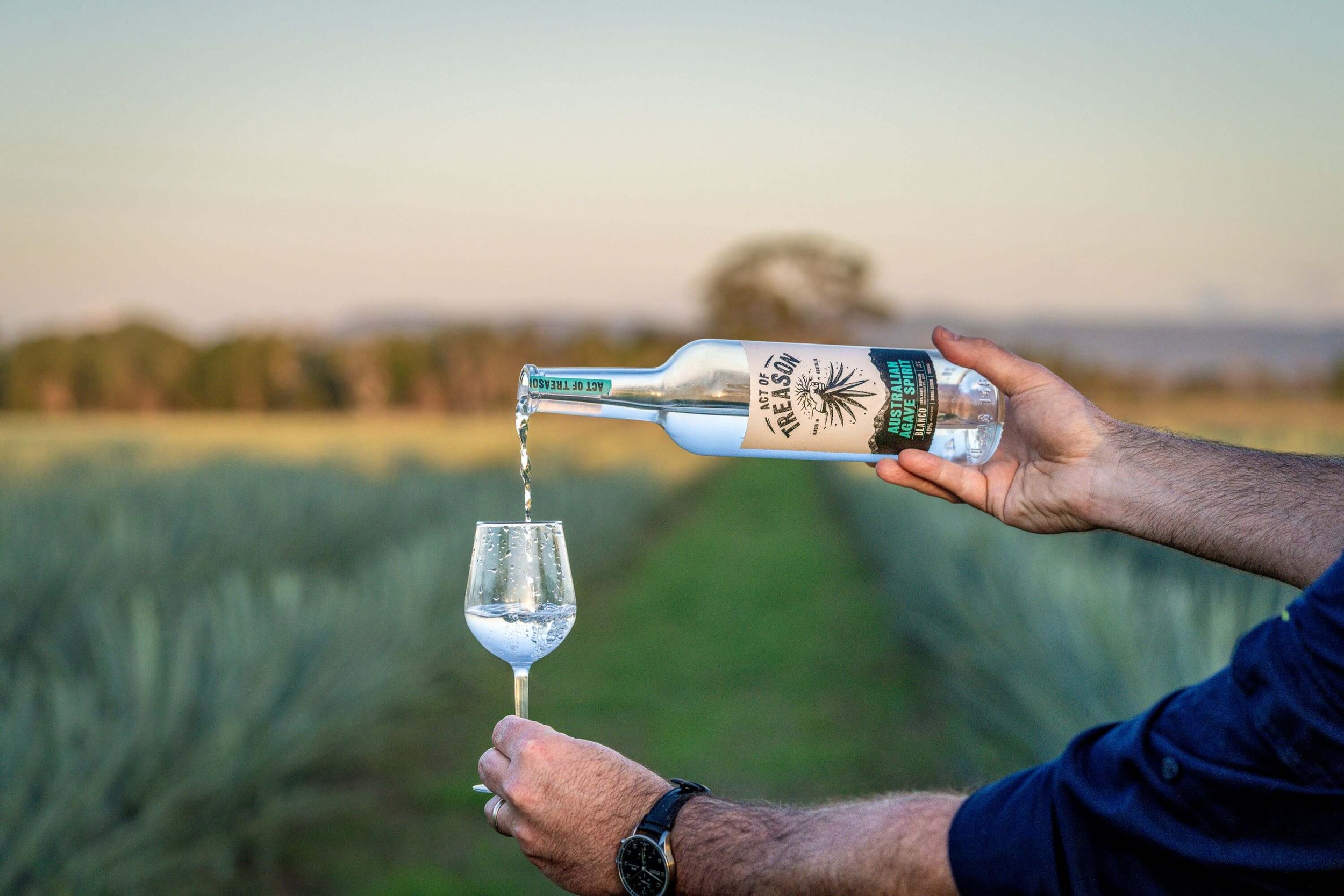 Person pouring water from a bottle into a wine glass outdoors with fields and trees in the background.