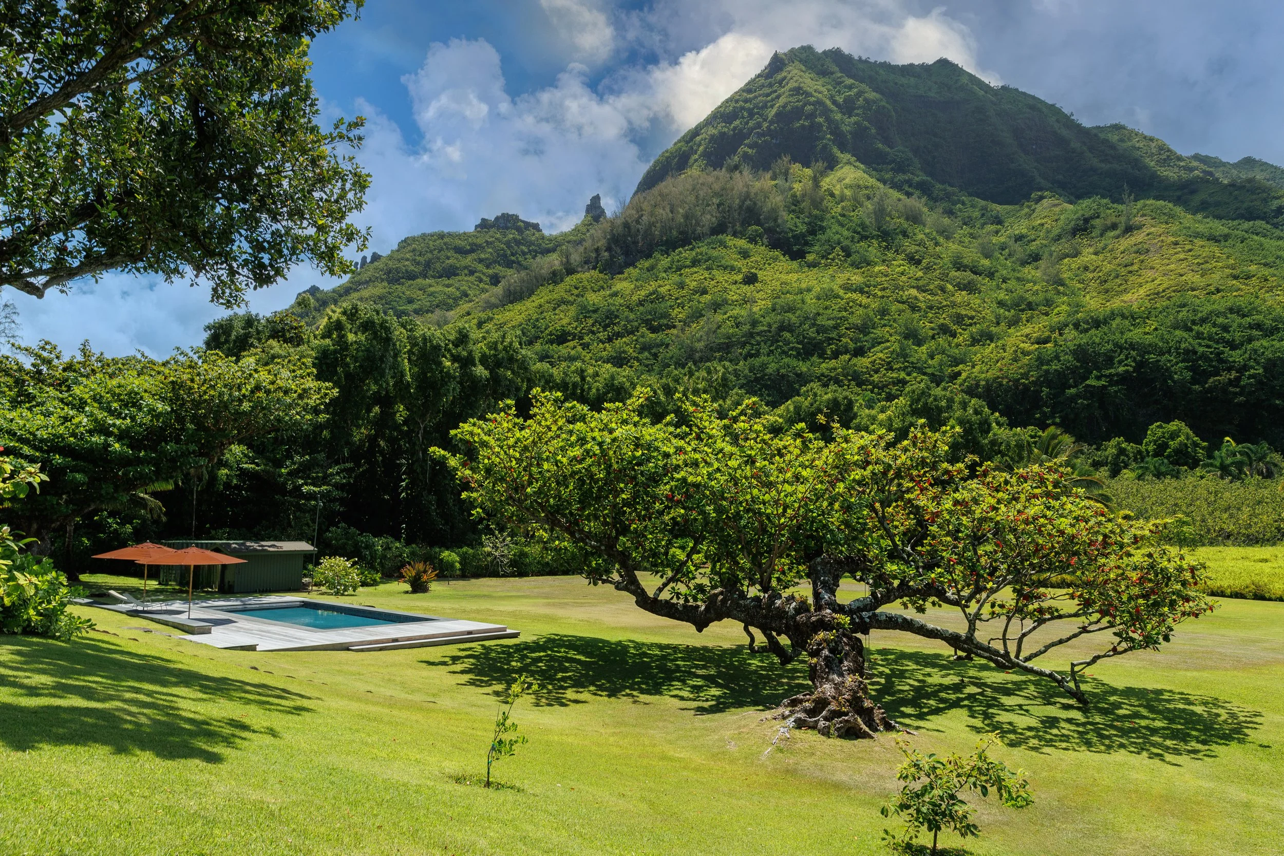 Limahuli-Ocean-Estate-7.jpg