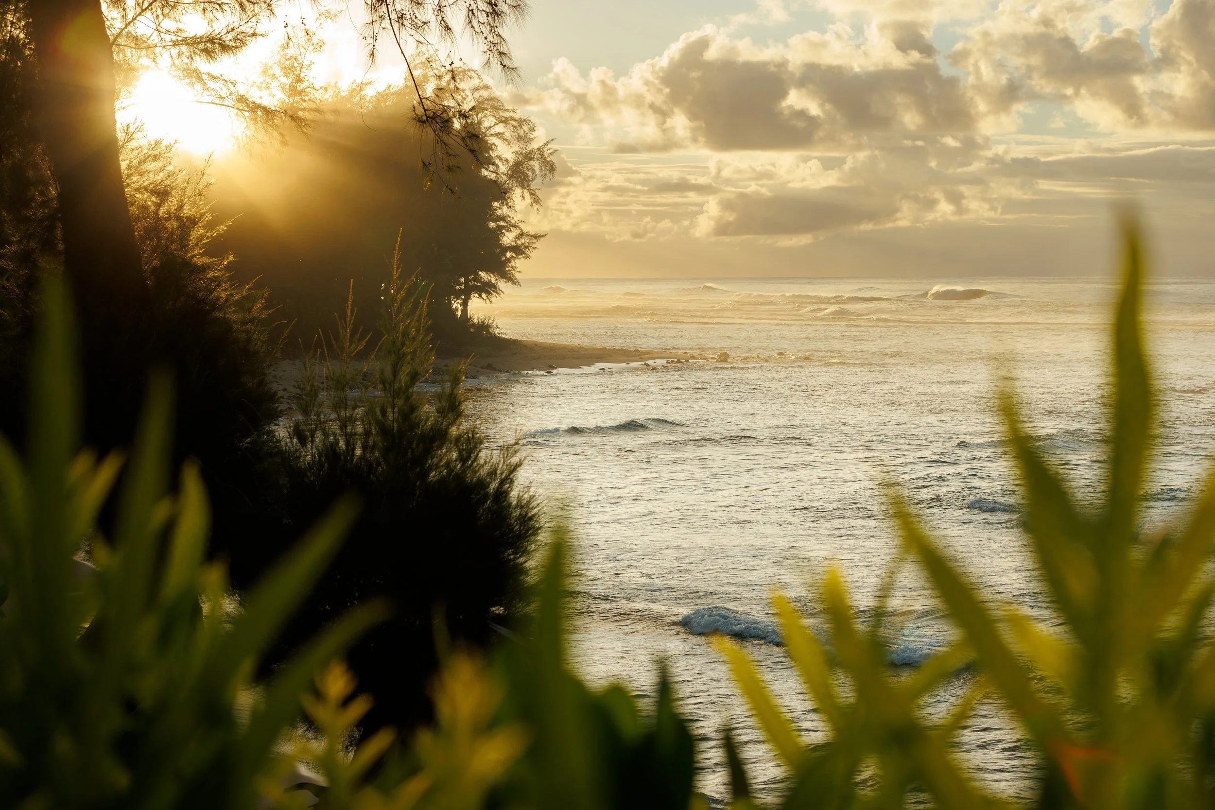 Limahuli-Ocean-Estate-32.jpg