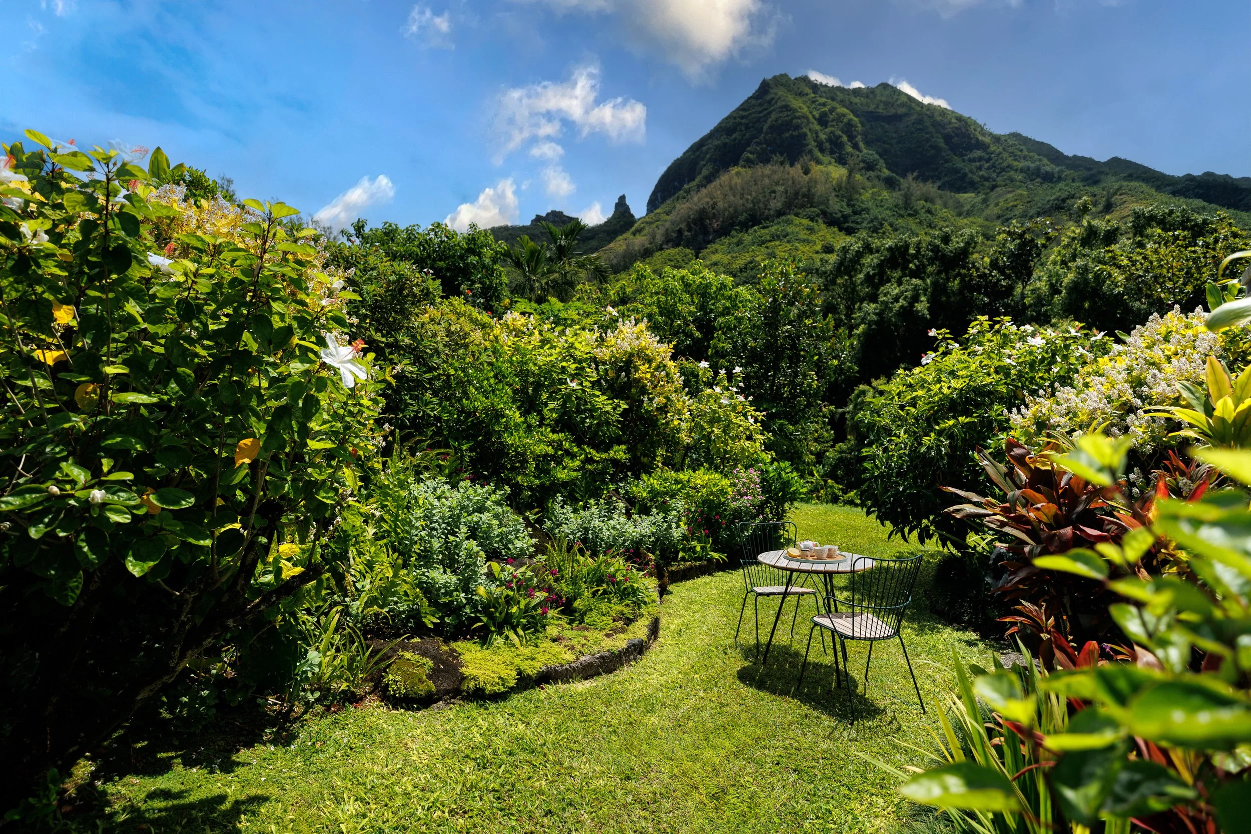 Limahuli-Ocean-Estate-14.jpg
