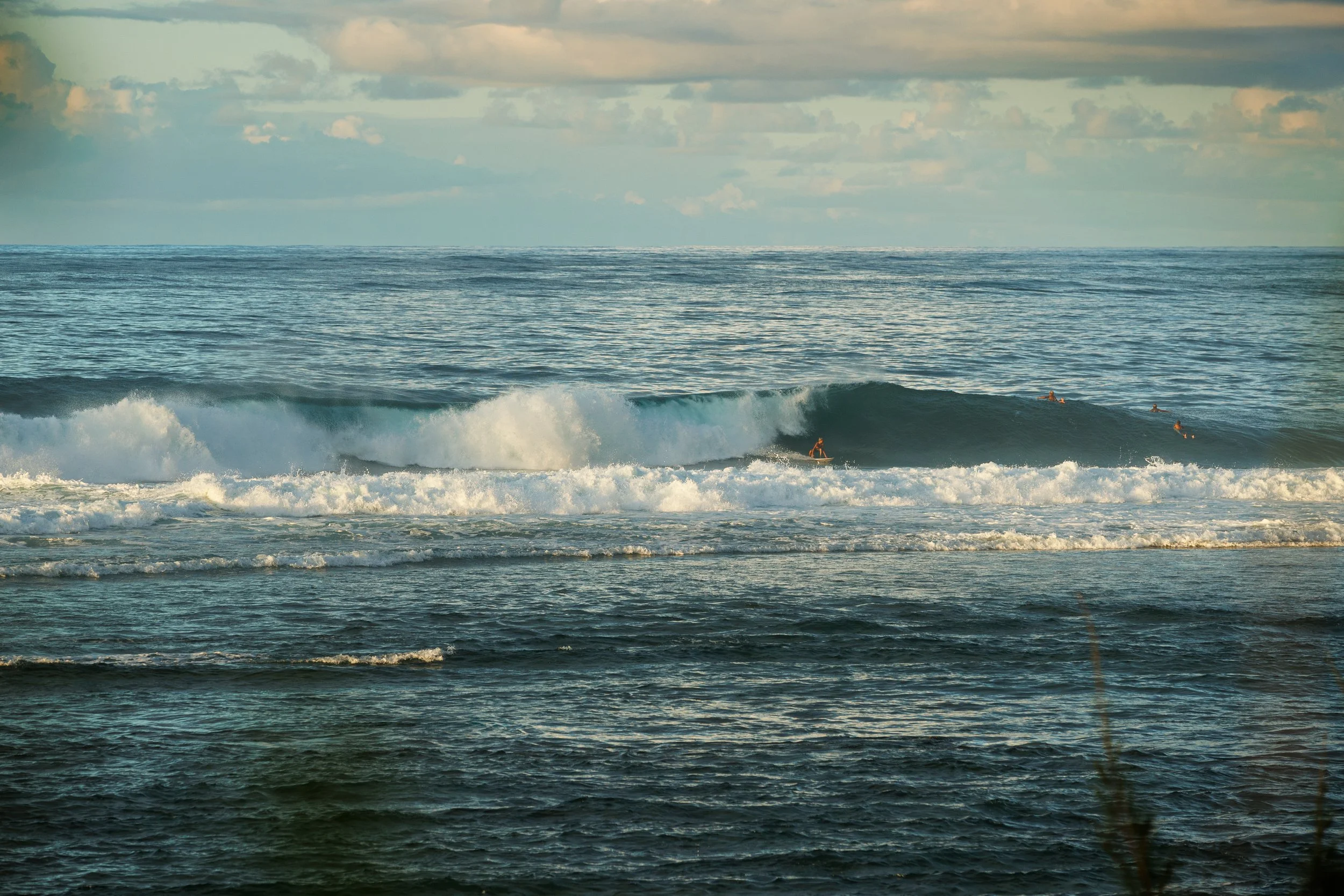 Limahuli-Ocean-Estate-33.jpg