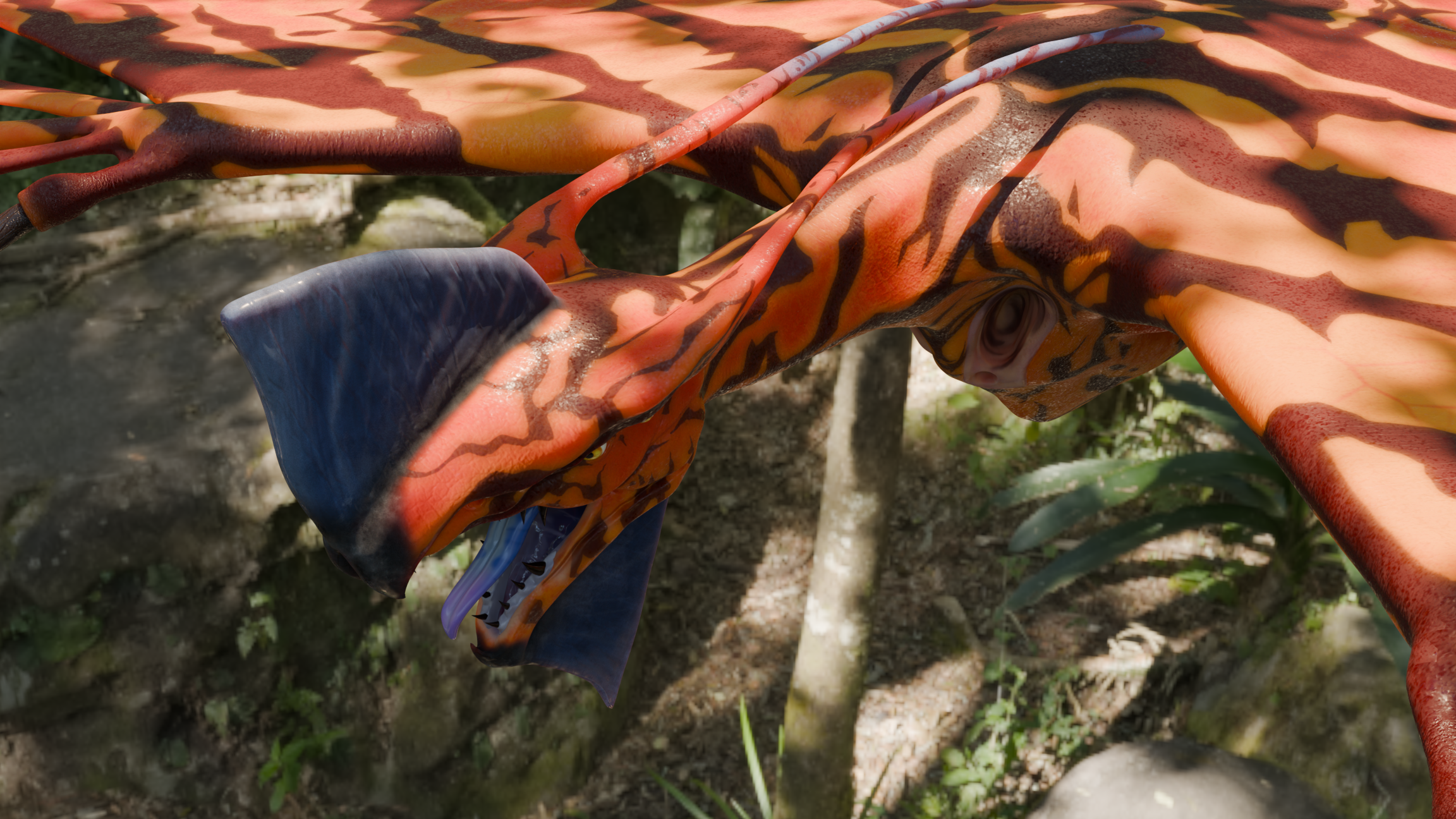 Close Up 4 lowres.png