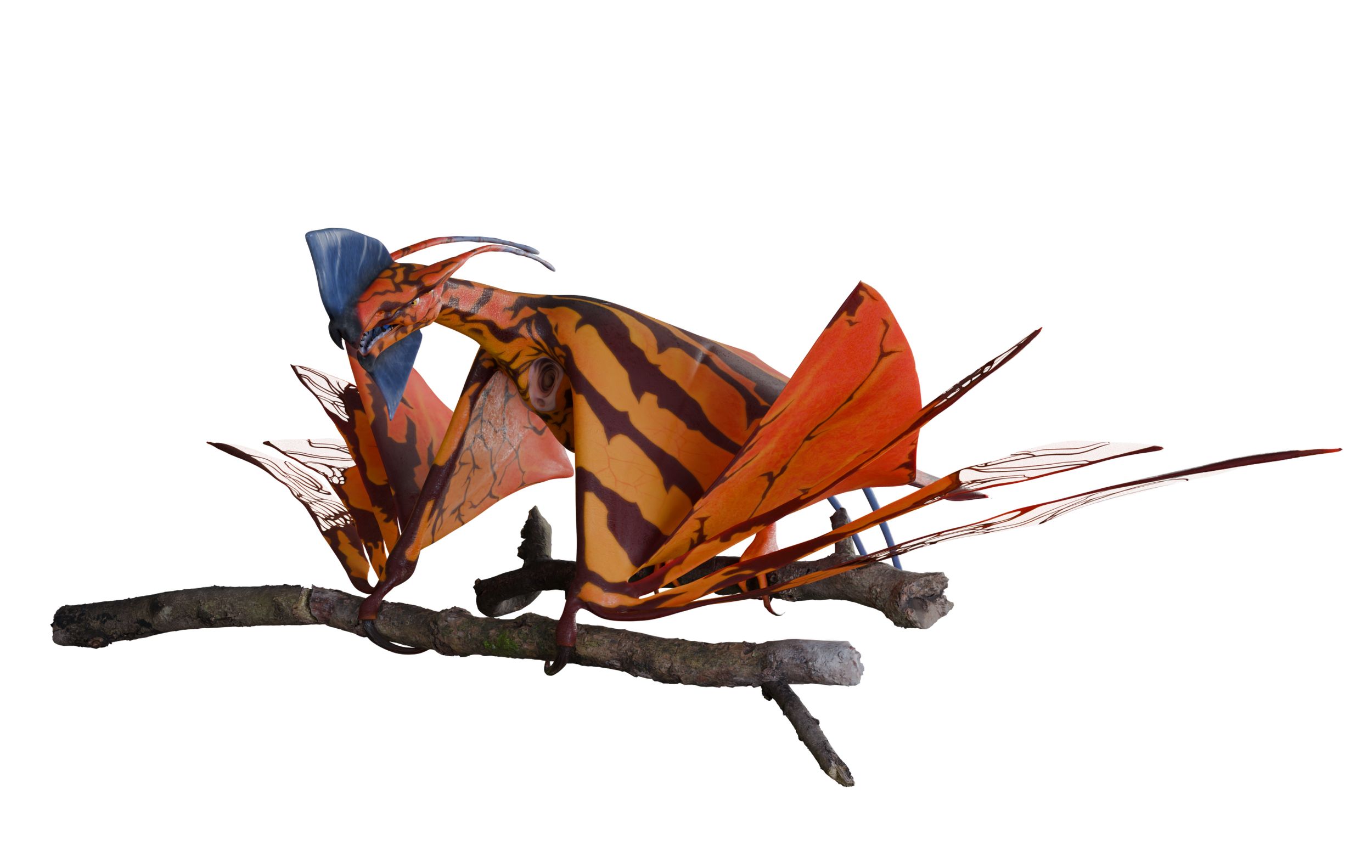 Full Perch lowres.png