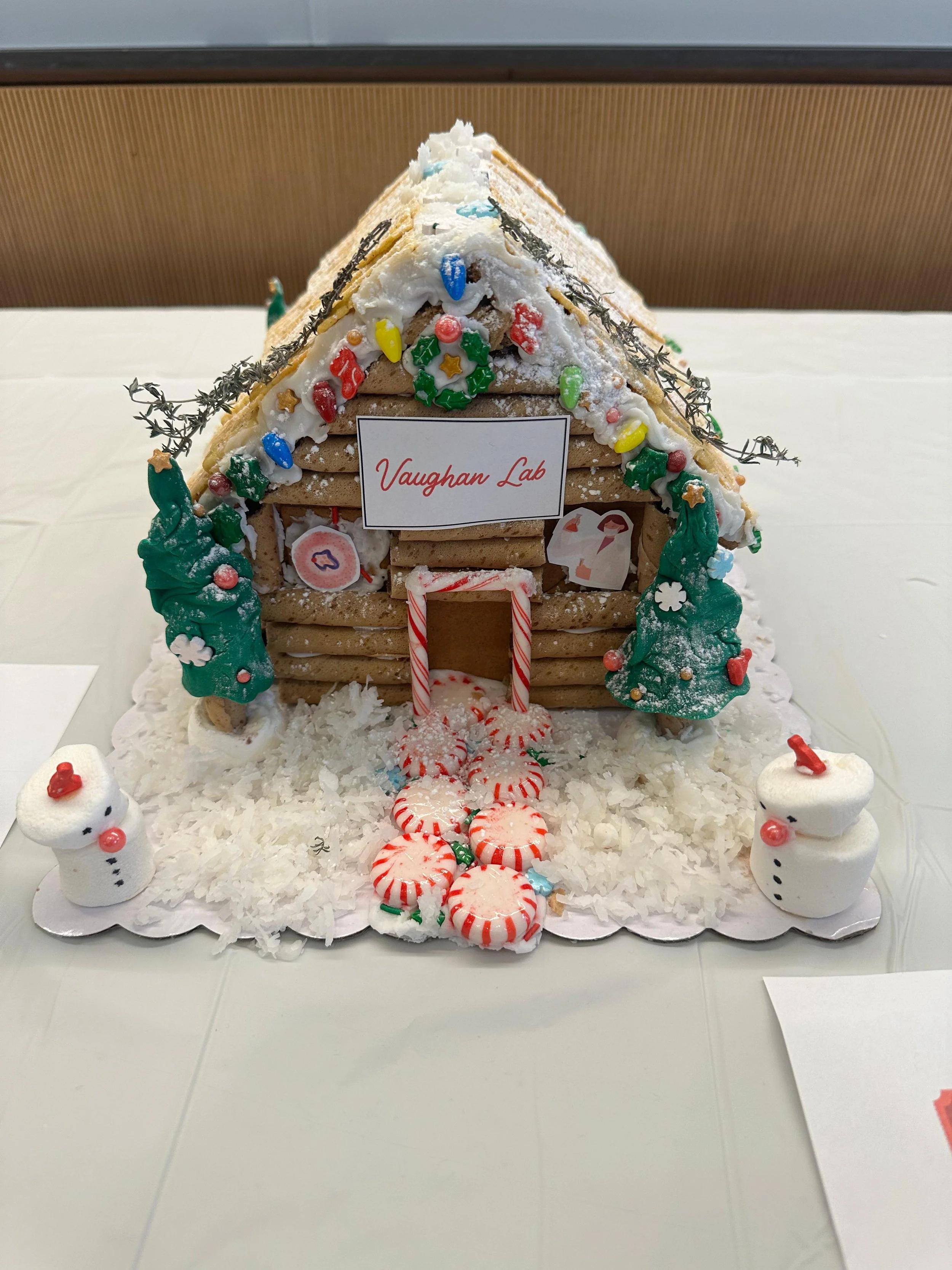 WhatsApp Image 2025-12-17 at 16.09.16.jpeg