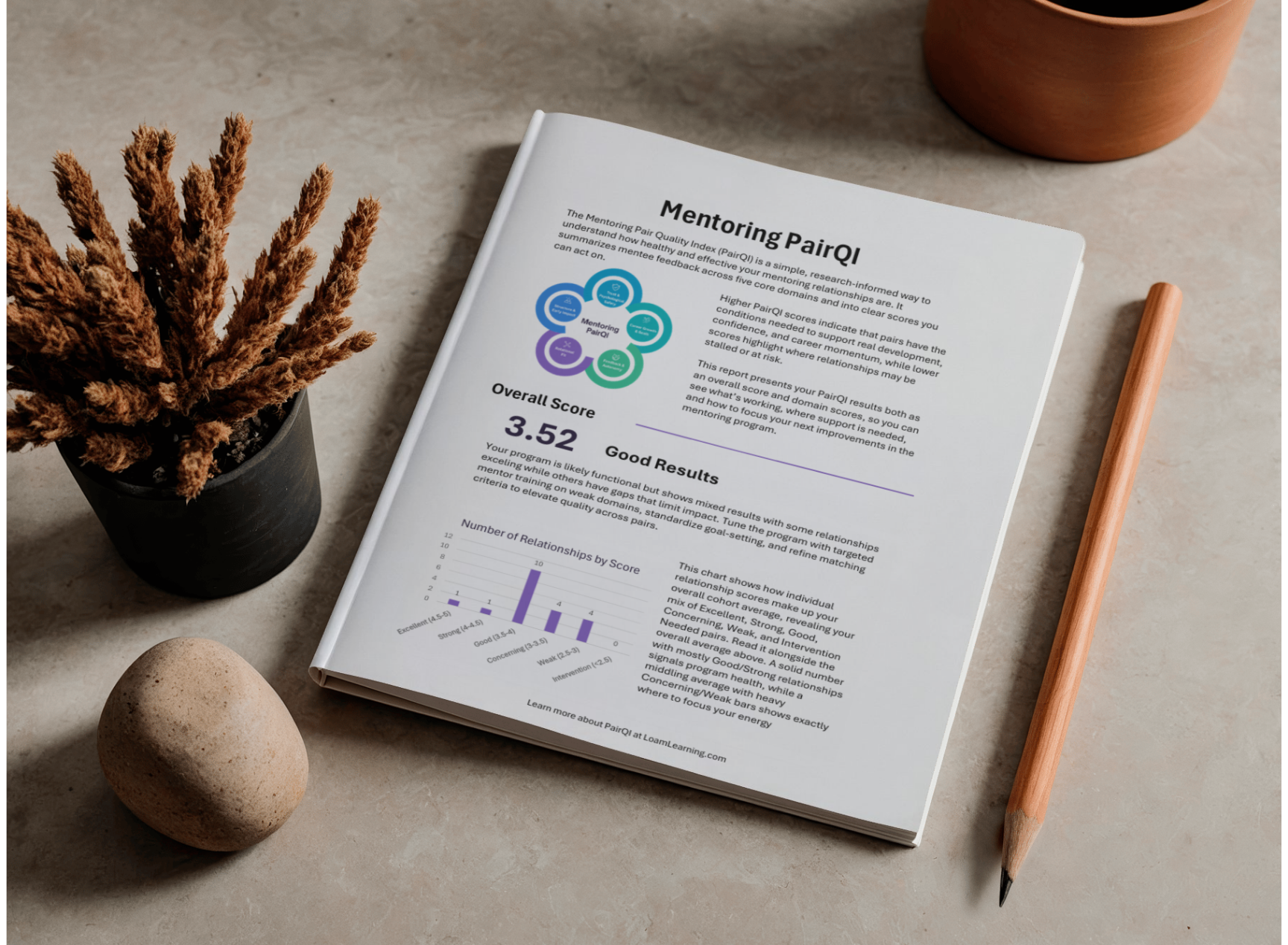A printed report titled 'Mentoring PaiQR' on a desk with a gray surface, next to a pencil, a black pot with dried plants, a round beige stone, and an orange clay pot.
