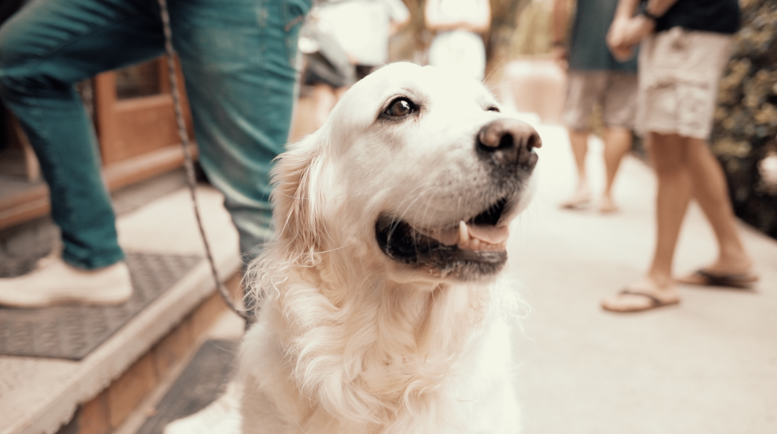 Crystal Creek Estate