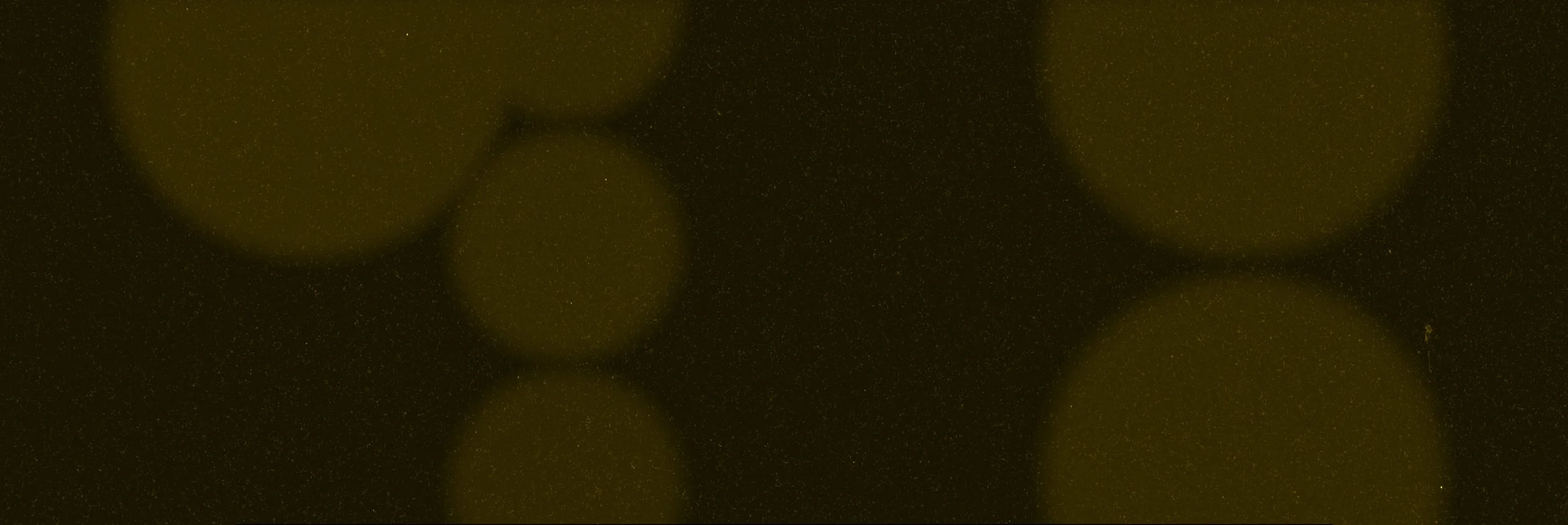 CS_WEBSITE_HEADER_PANO_LAUNCH_01.jpg