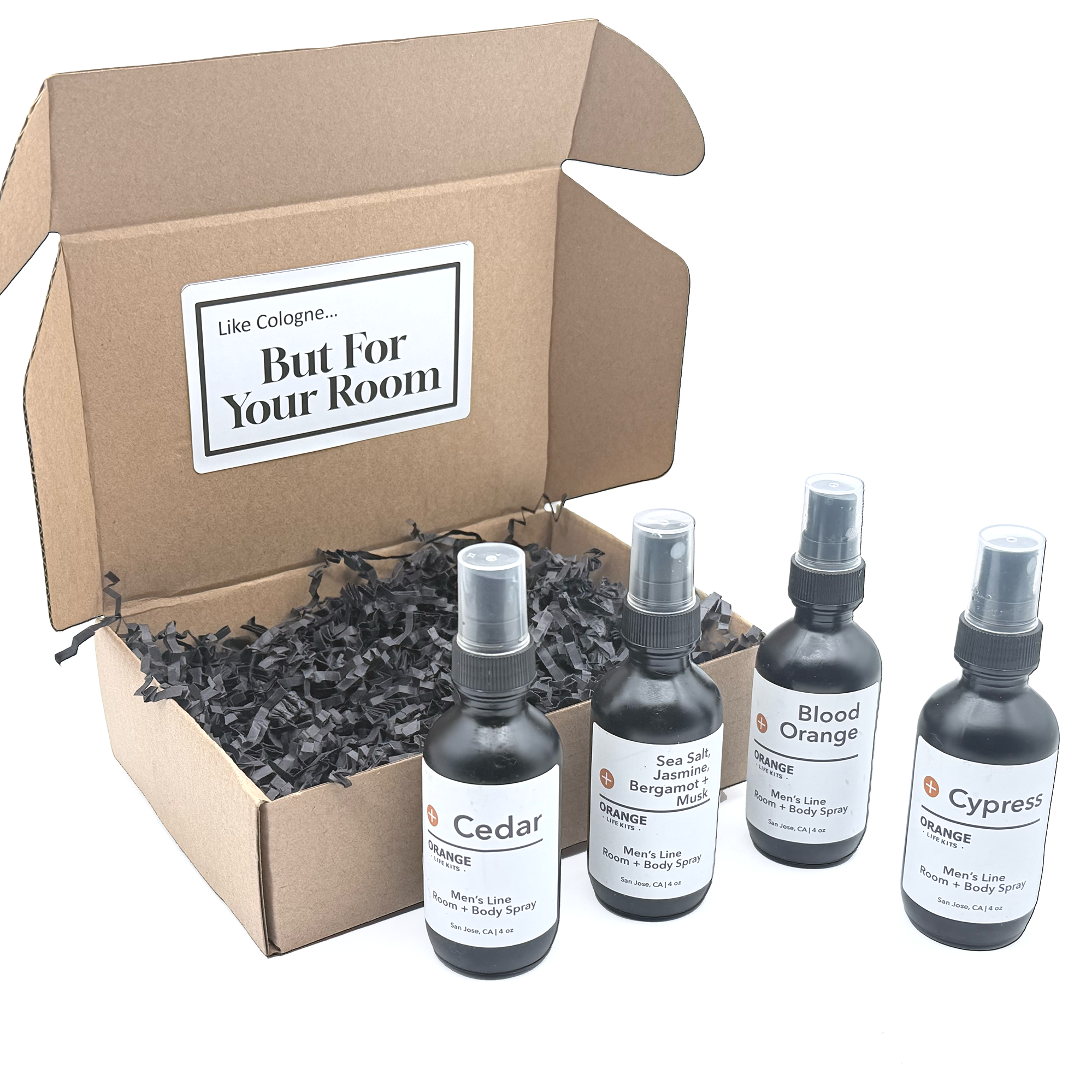 Men's Room Spray Collection | Cologne For Your Room | Mini Gift
