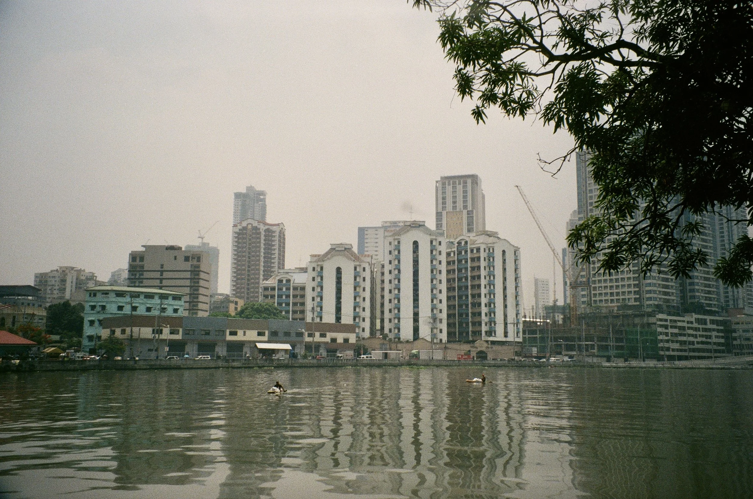 IMG_6815.jpeg