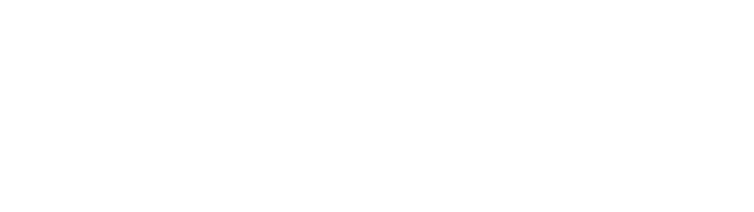 SeekPTO official logo, white, transparent background