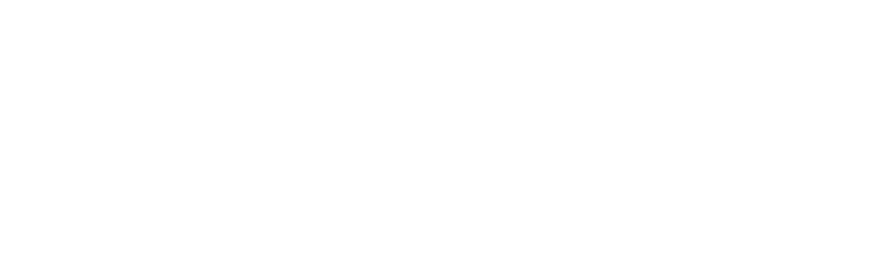 Packs Light official logo, white, transparent background