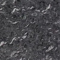 Black Sea-Cactus Stone