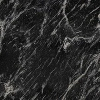 Black Widow-Cactus Stone