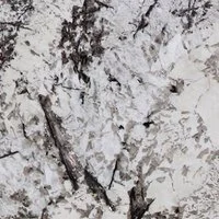 White Diamond-Cactus Stone