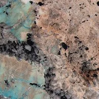 Amazonite-Cactus Stone