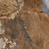 Eruption-Cactus Stone