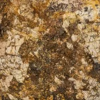 African River-Cactus Stone