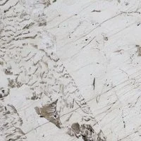 Matterhorn-Cactus Stone