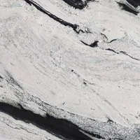 White Thunder-Cactus Stone