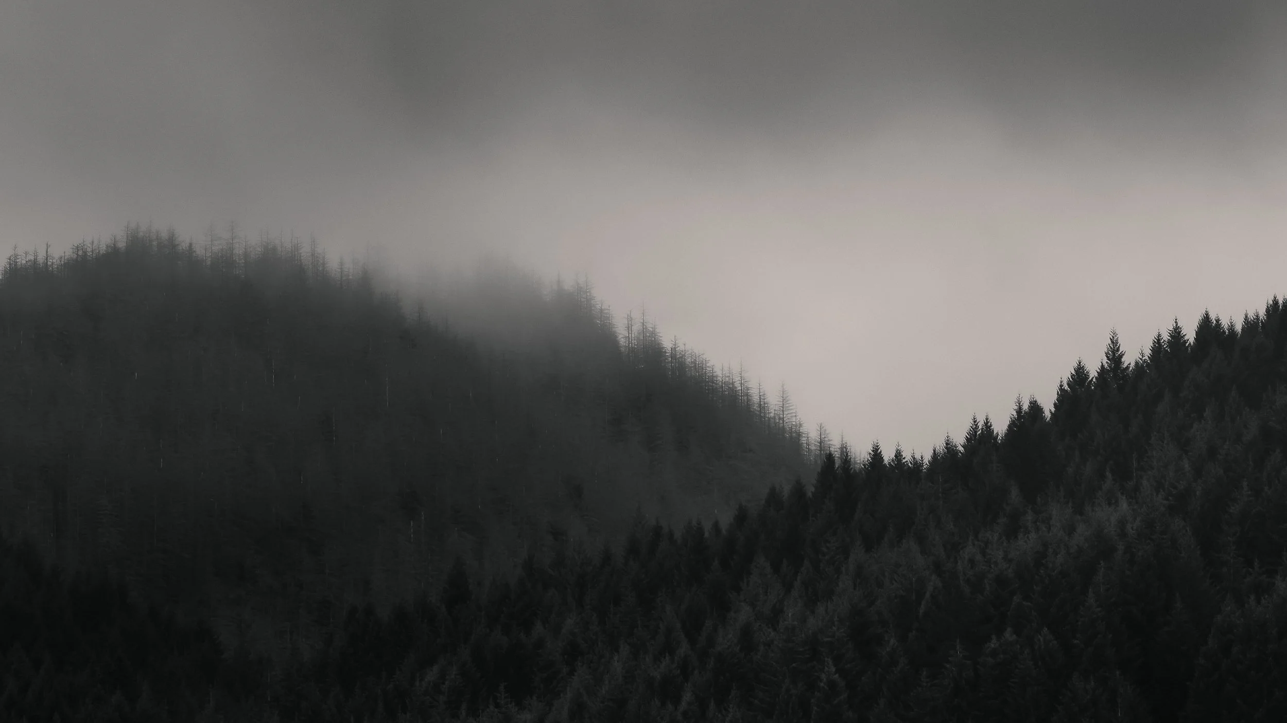 The Mono Awards 2026: Highly Commended (Queenstown, NZ 2026)