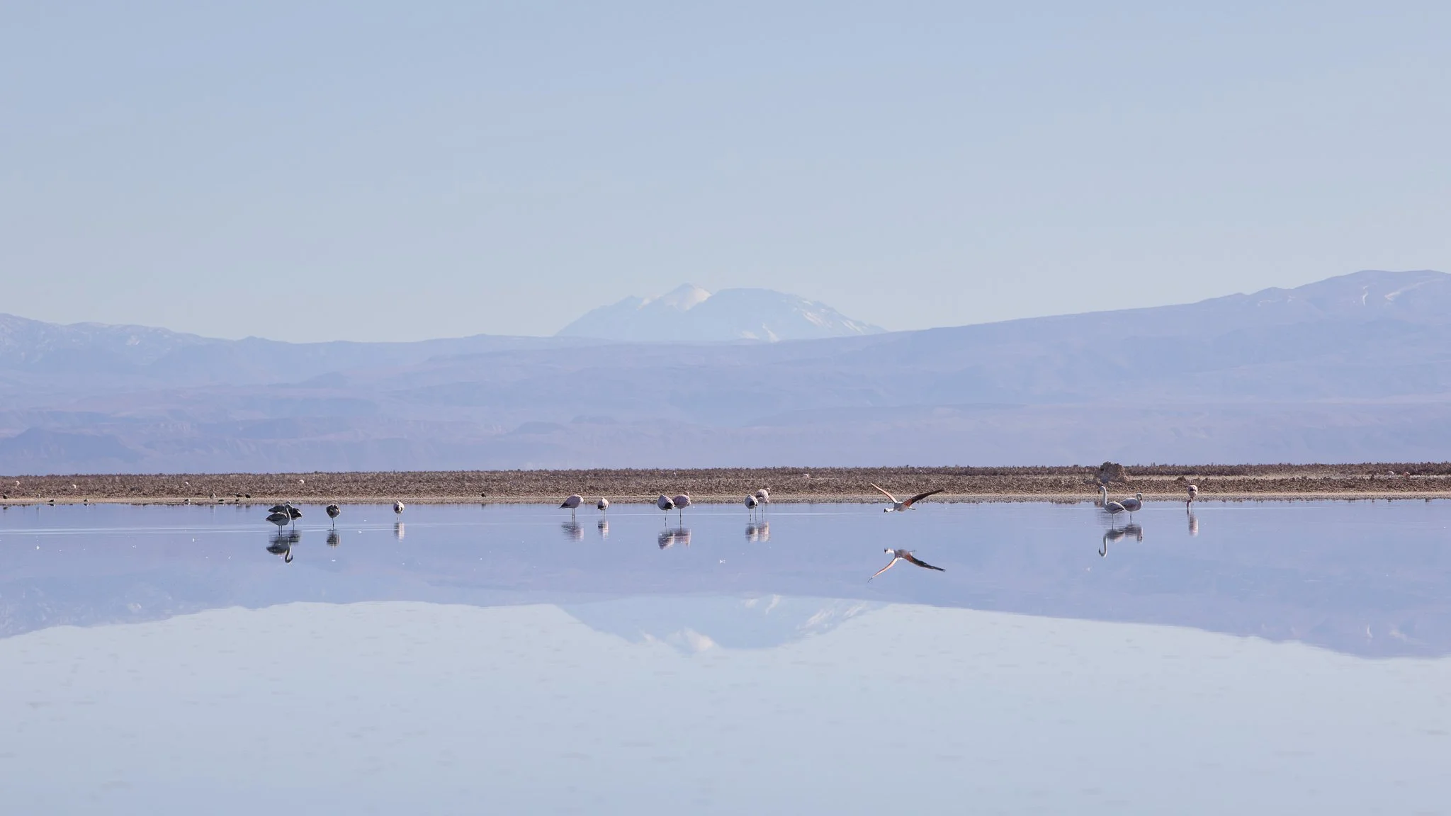 Laguna Chaxa