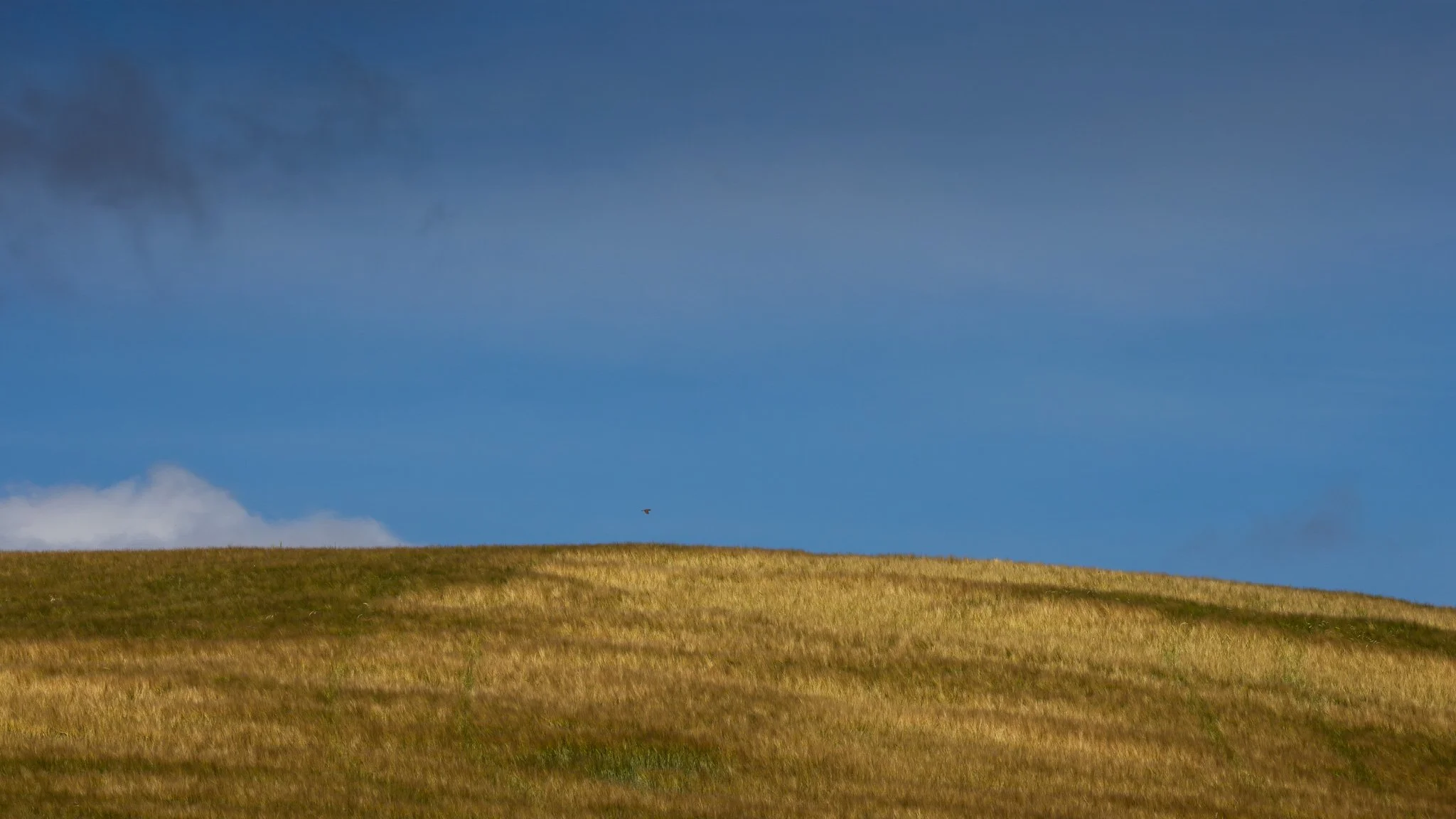 _G4A0120-2.jpg