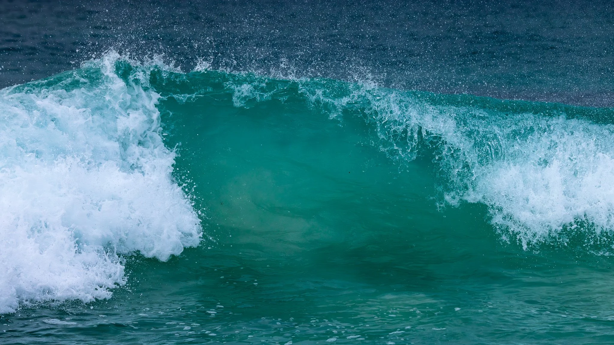 Turtles under the waves at Cerro Brujo Beach, San Cristóbal Island