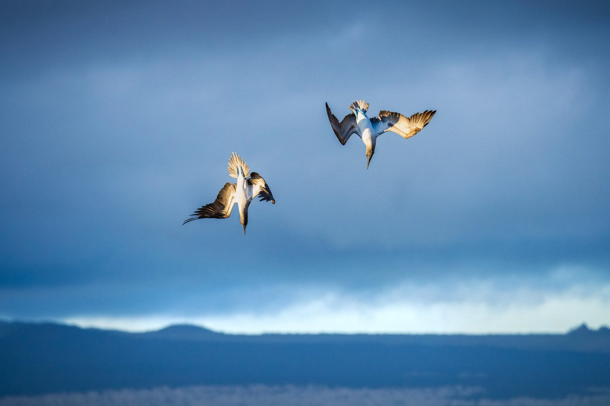 Zeroing in on the target