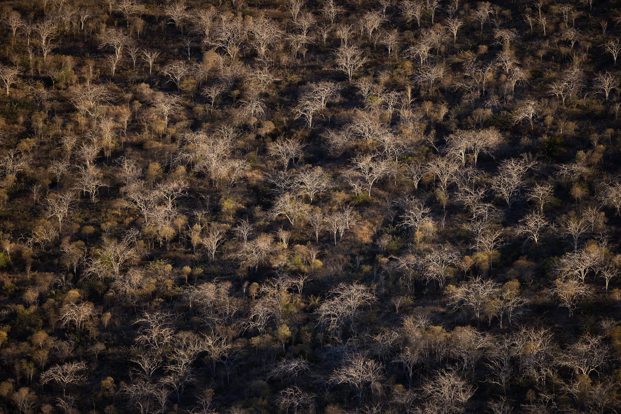 The Landscape Awards 2026: 12th place (Galápagos Islands 2025)