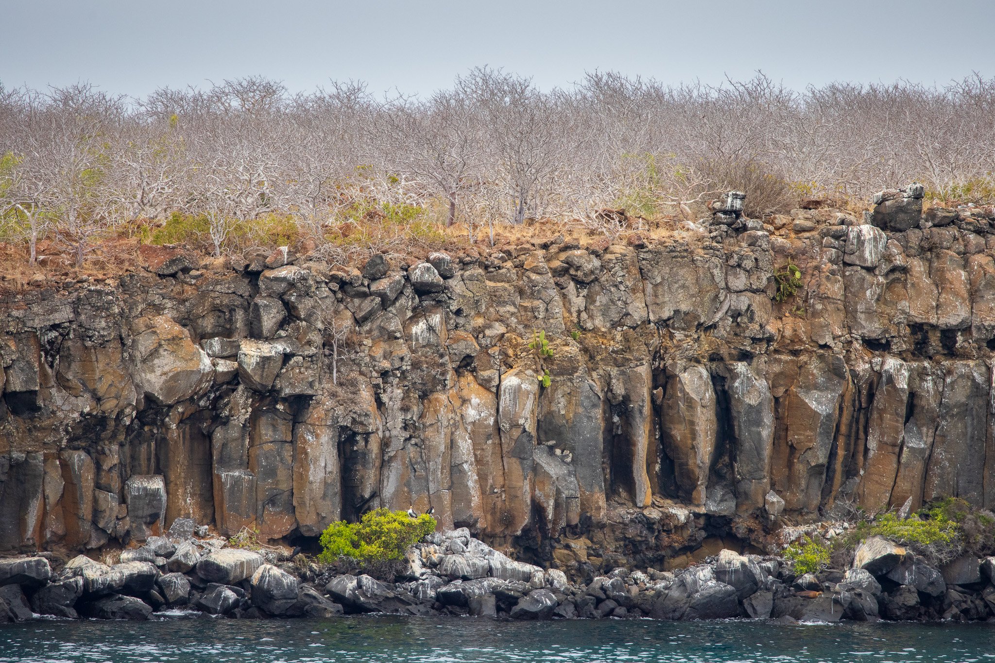 Rocky shoreline of North Seymour Island