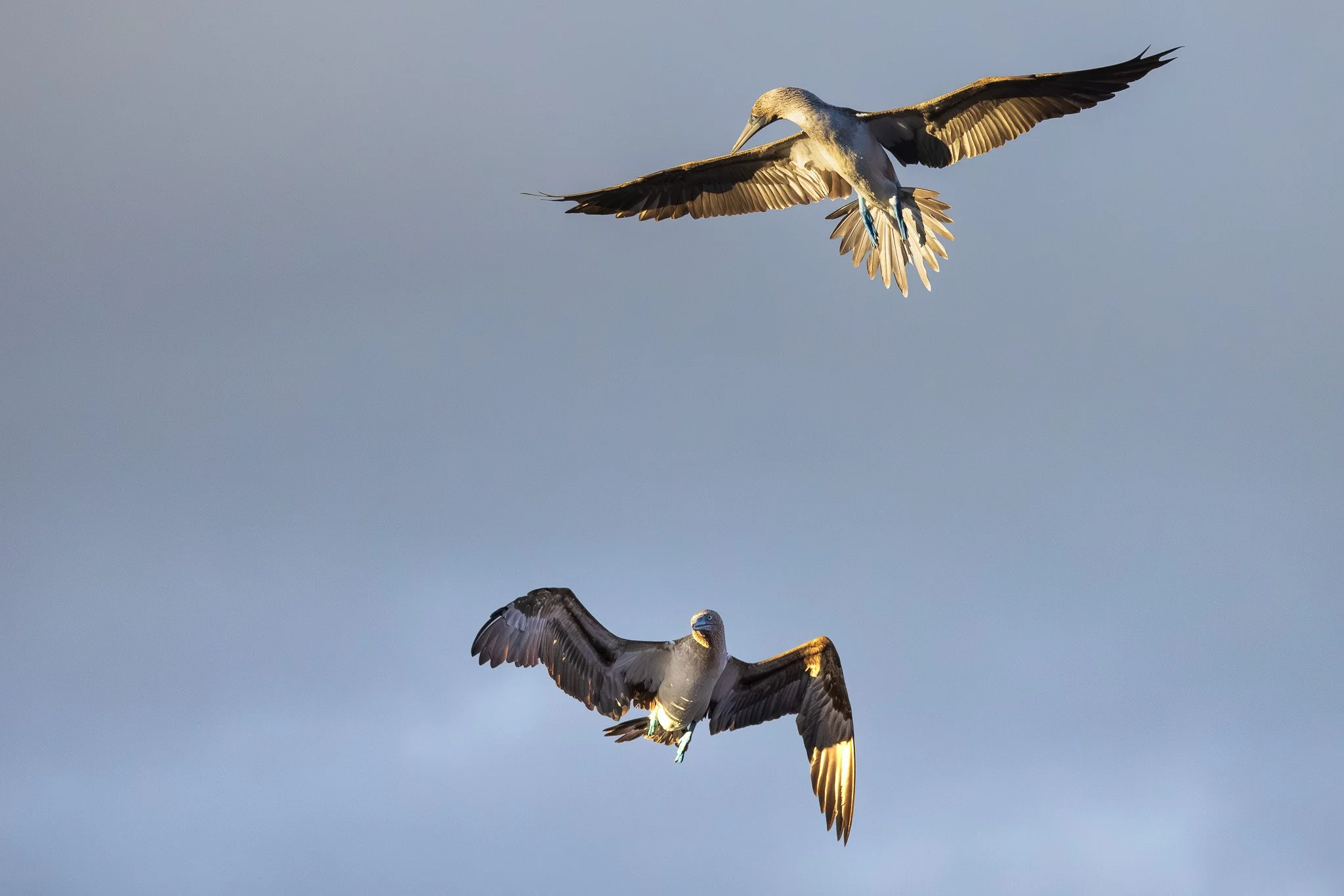 I thought you were going to lead?!