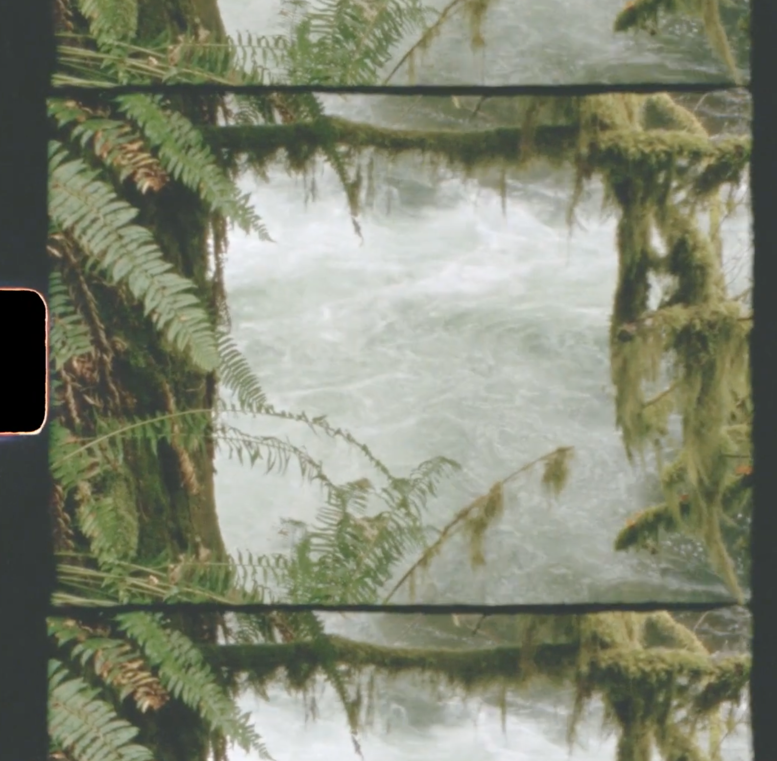 Spring in Portland & the Oregon Coast