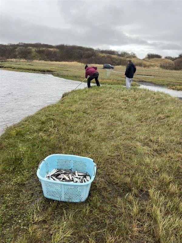 Dipnetting in Perryville Culture Camp