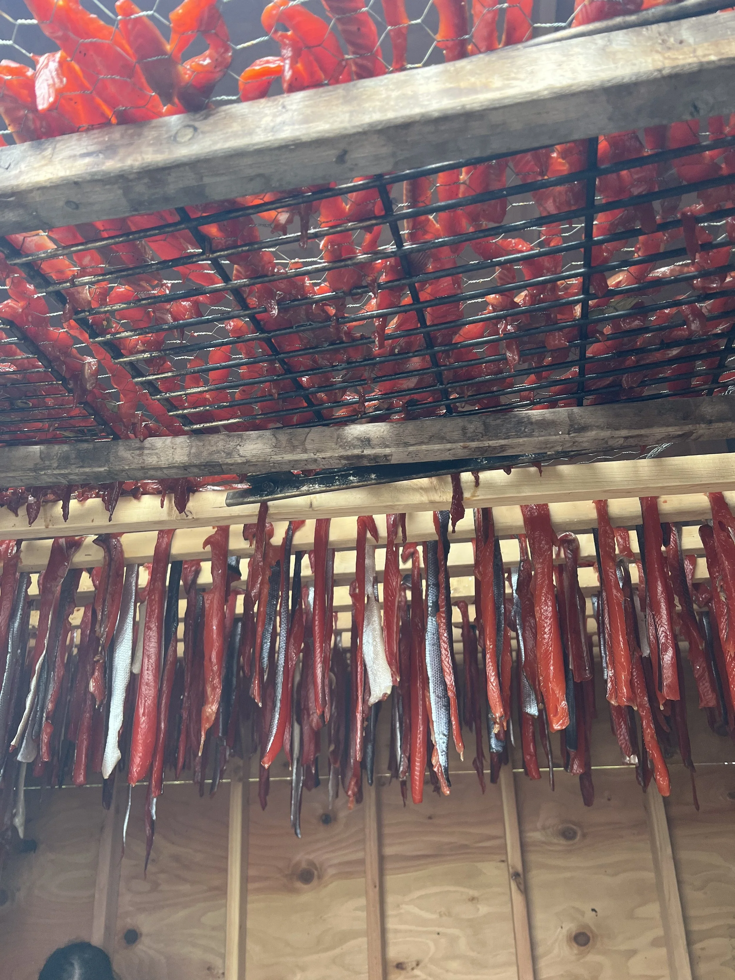 Fish at Naknek Culture Camp