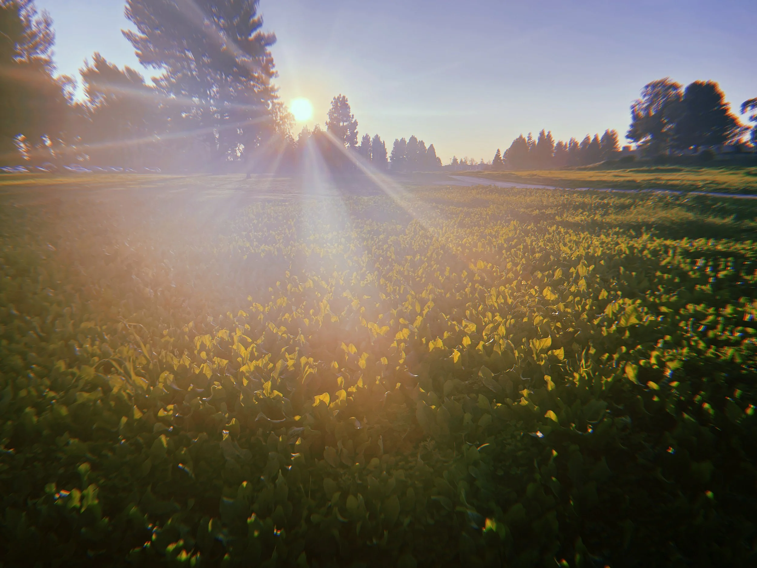 Day 16 - An-Nūr